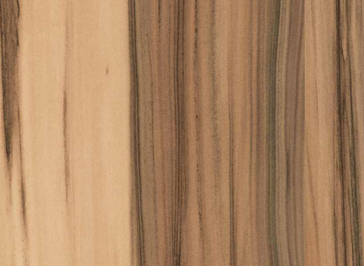 H3778 ST9 Karibský ořech přírodní.jpg