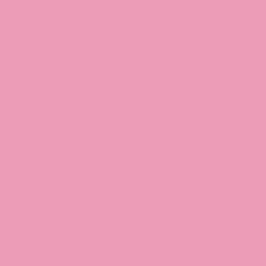l8534 rosa.jpg