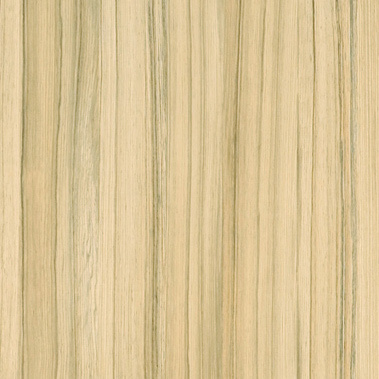 l8995 Coco Bolo.jpg